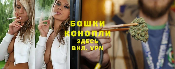 индика Михайловка