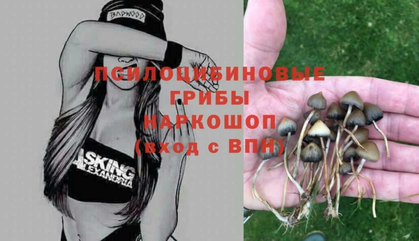 mdma Михайлов