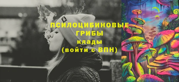 индика Михайловка