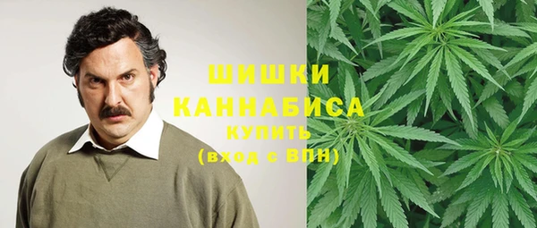 индика Михайловка