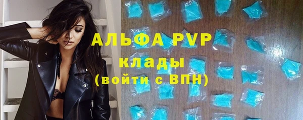 индика Михайловка