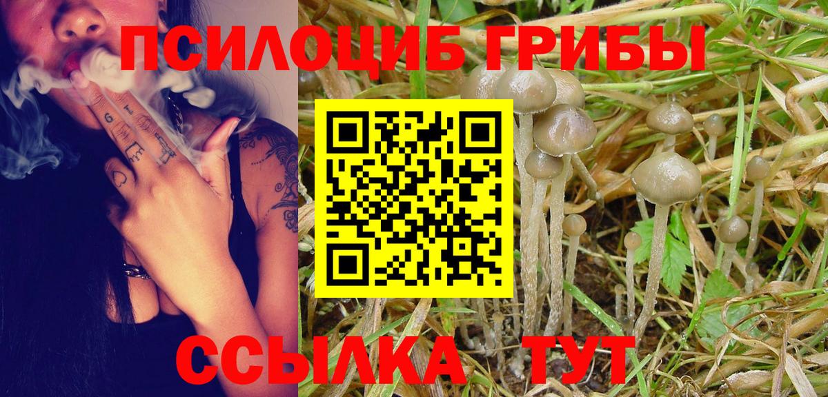 Галлюциногенные грибы GOLDEN TEACHER  Десногорск 