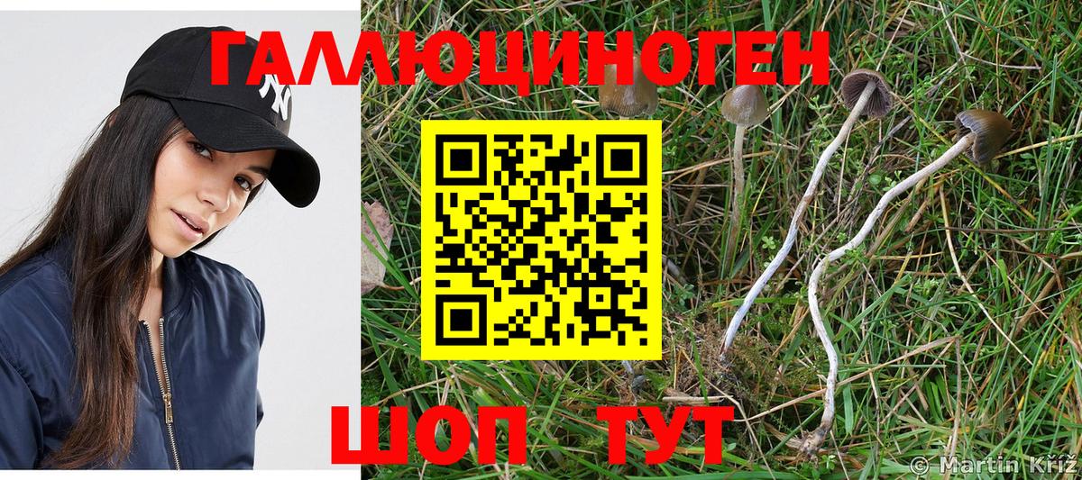 Десногорск  Псилоцибиновые грибы Magic Shrooms  Галлюциногенные грибы GOLDEN TEACHER  Вход с VPN 