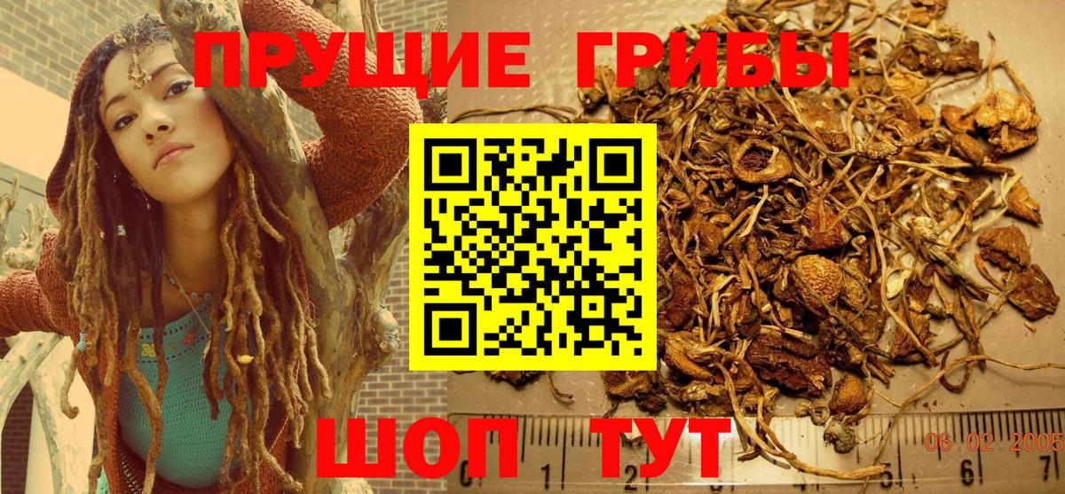 Псилоцибиновые грибы Cubensis Десногорск