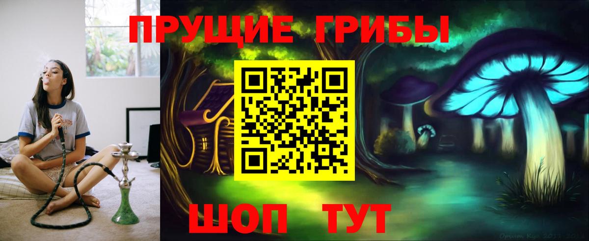 Псилоцибиновые грибы прущие грибы Десногорск